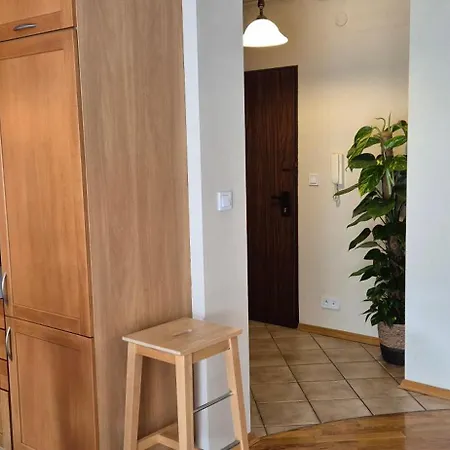 With Terrace And Garage