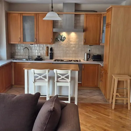 Apartment With Terrace And Garage Krakau