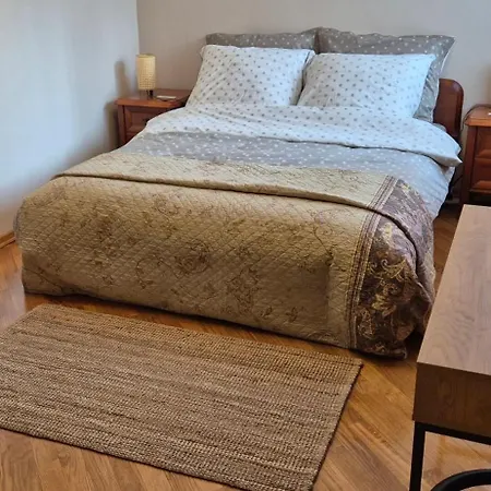 With Terrace And Garage *