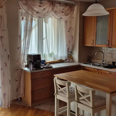 With Terrace And Garage Apartment