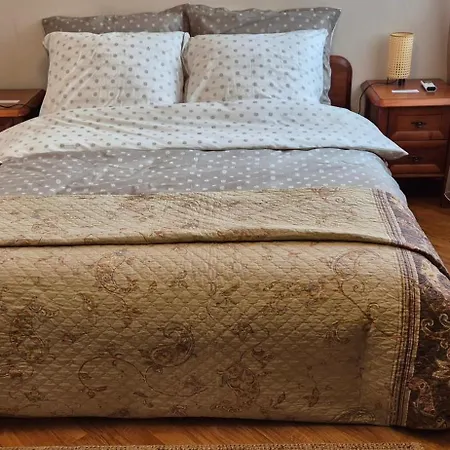 With Terrace And Garage * Krakau