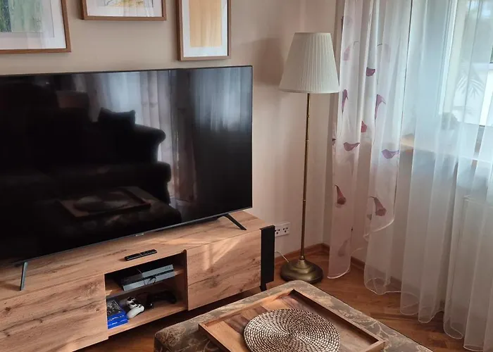 With Terrace And Garage *