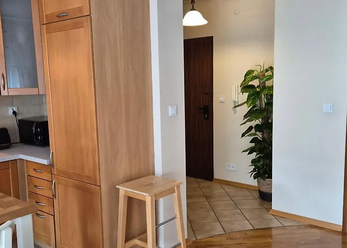 With Terrace And Garage