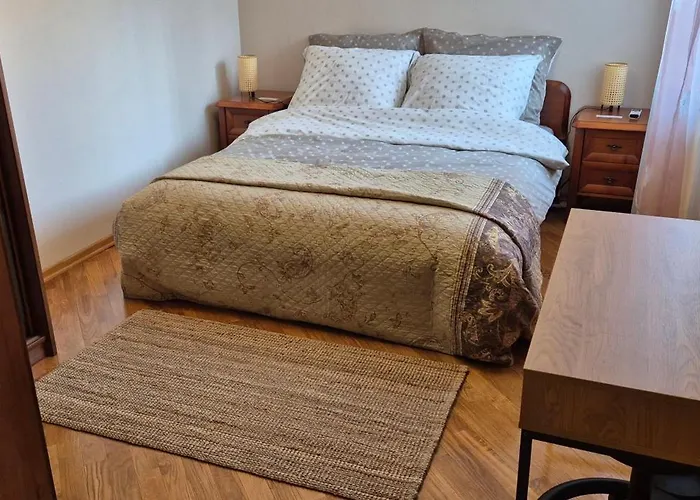 With Terrace And Garage *