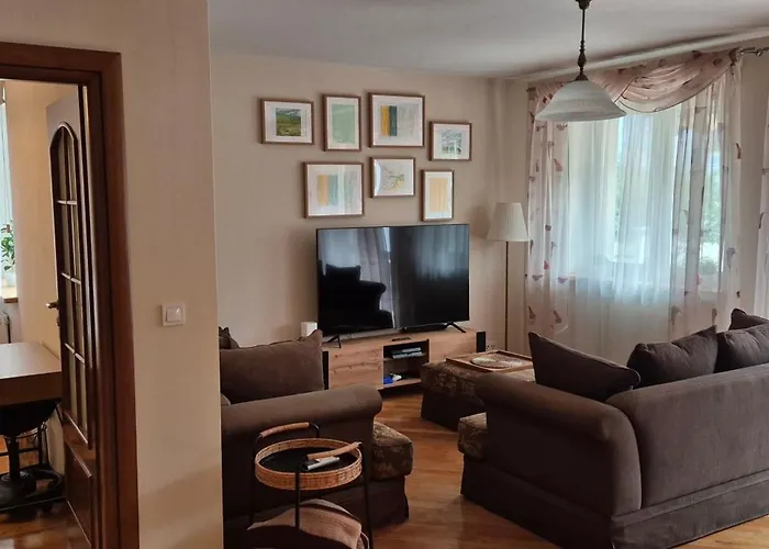 With Terrace And Garage קרקוב