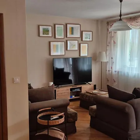 With Terrace And Garage קרקוב